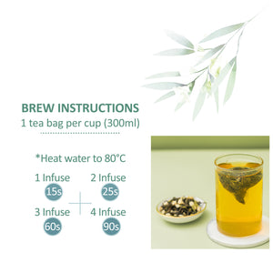 Hot & Cold Brew Jasmine Green Tea 15 Pyramid Tea Bags